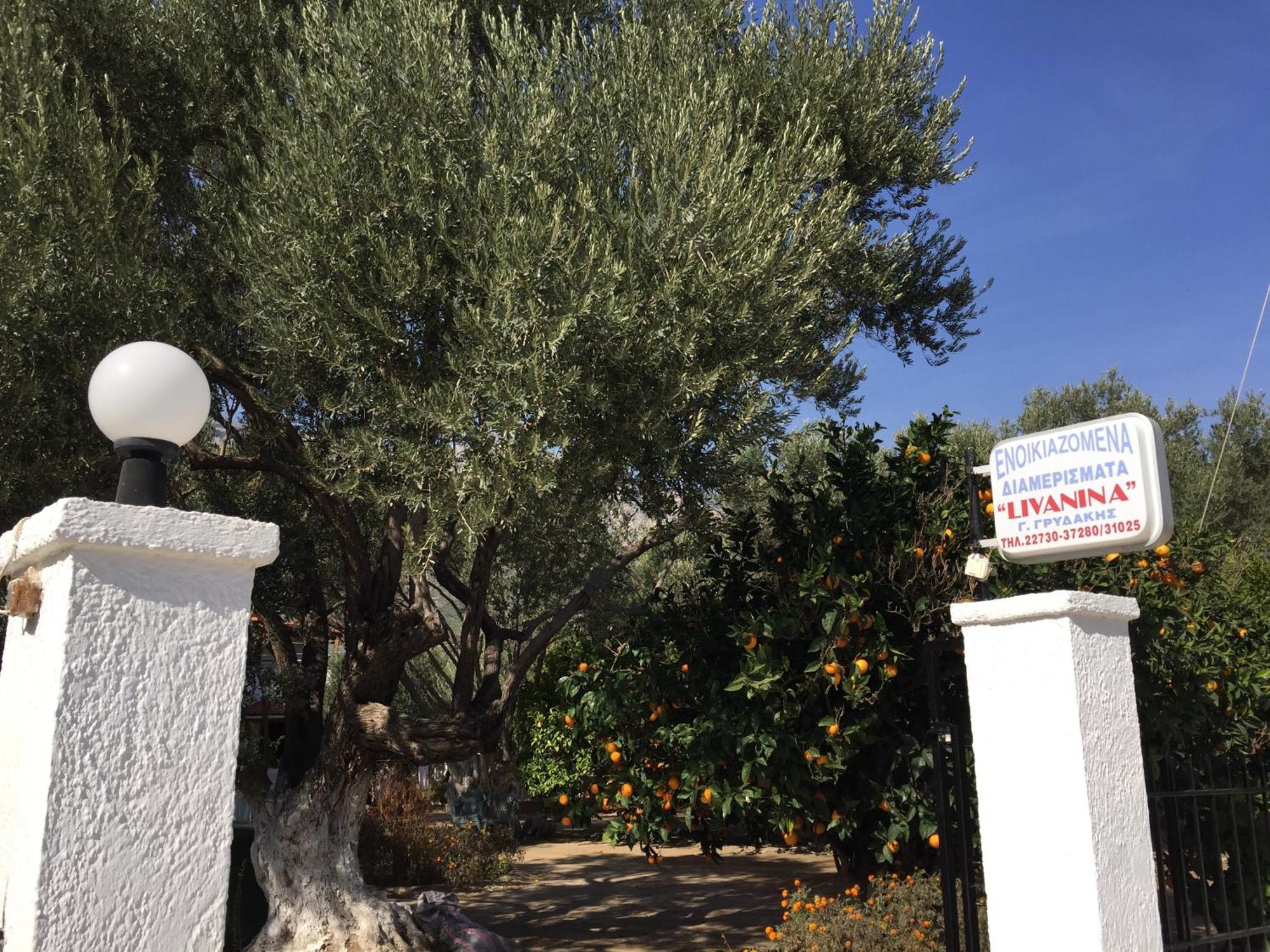 Livanina Apartments Kampos Marathokampou Exteriér fotografie